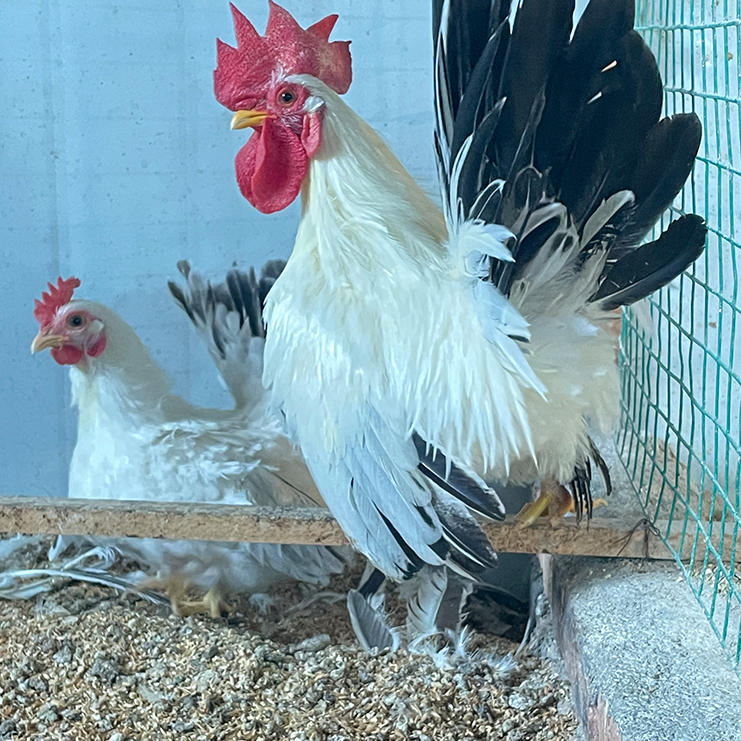 ScreenShot_2025-10-30_145945_822