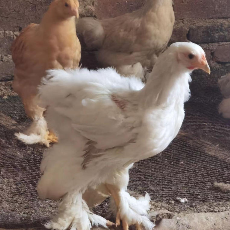 ScreenShot_2025-10-30_150047_534