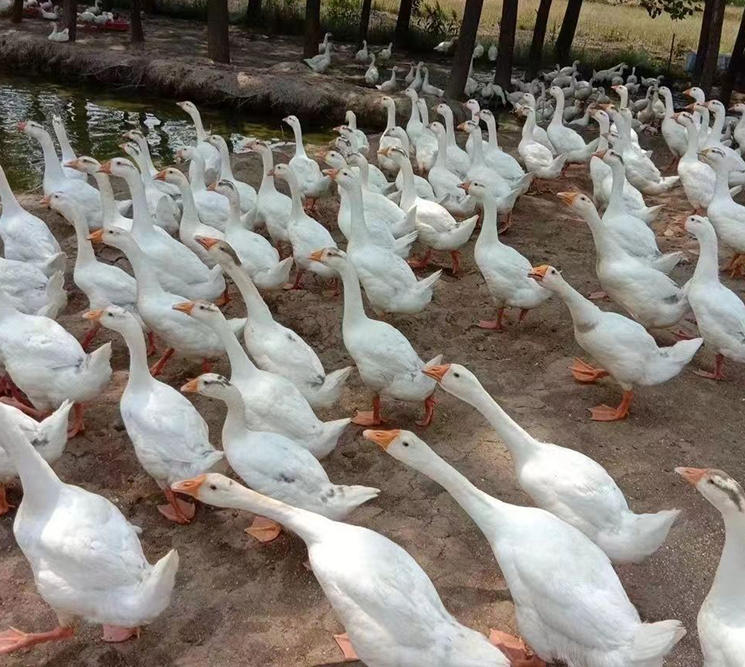 ScreenShot_2025-10-30_150133_118