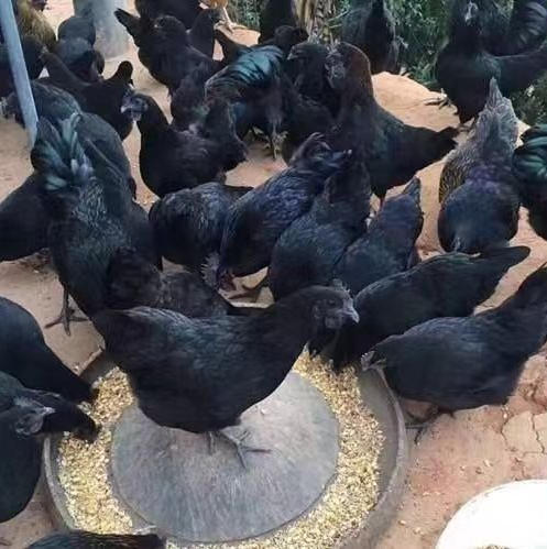 ScreenShot_2025-10-30_150234_676