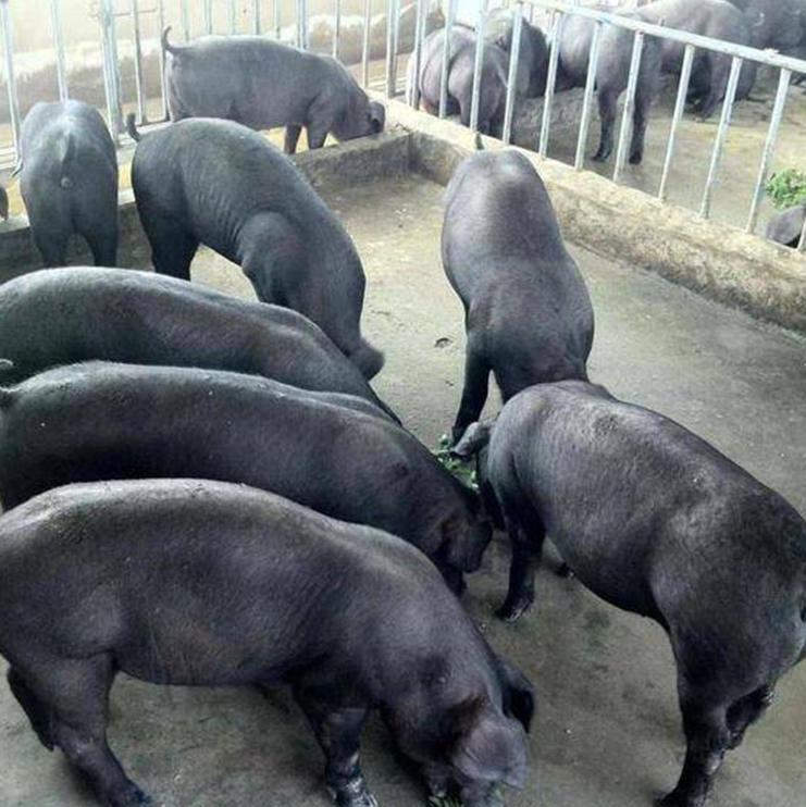 ScreenShot_2025-10-30_153056_975