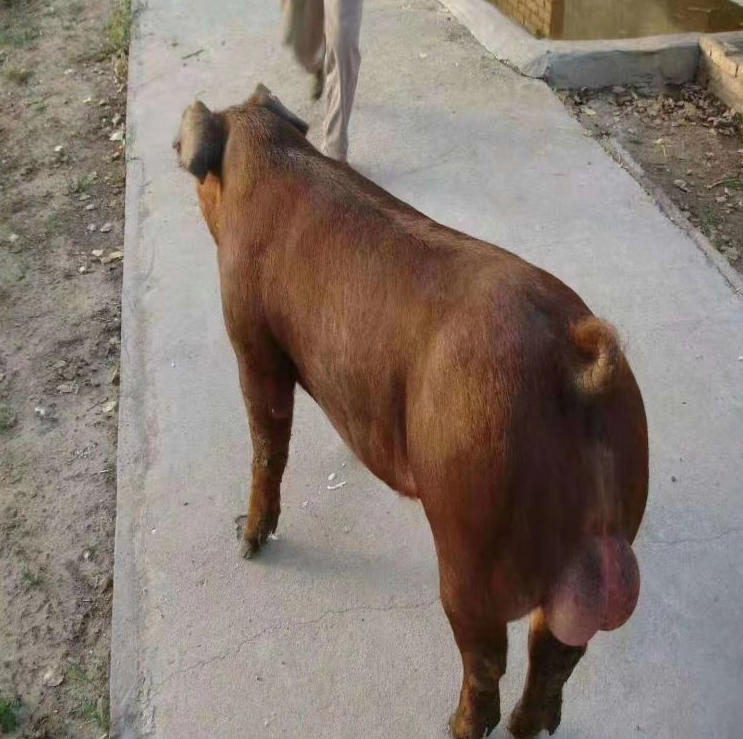 ScreenShot_2025-10-30_153237_752