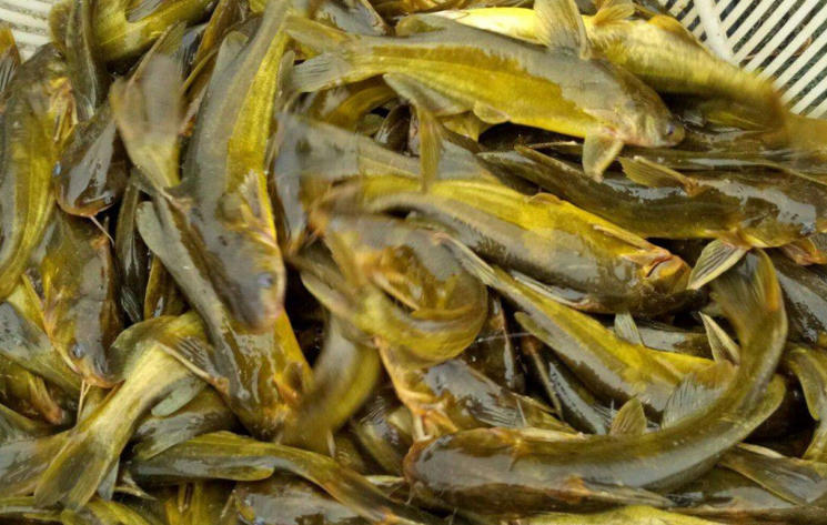 ScreenShot_2025-10-30_153527_992