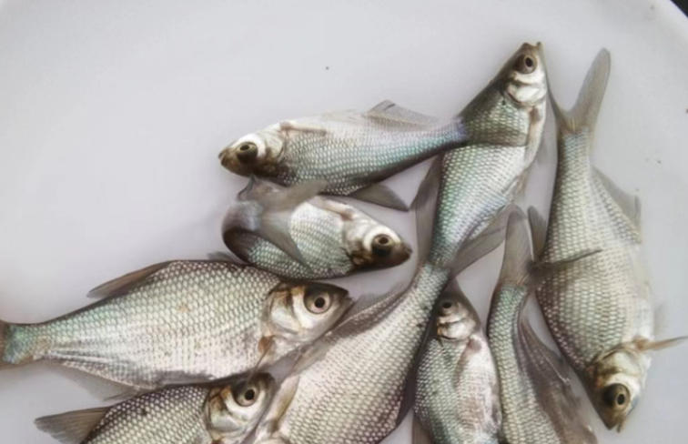 ScreenShot_2025-10-30_153622_919