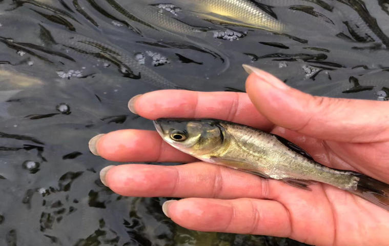 ScreenShot_2025-10-30_153727_847