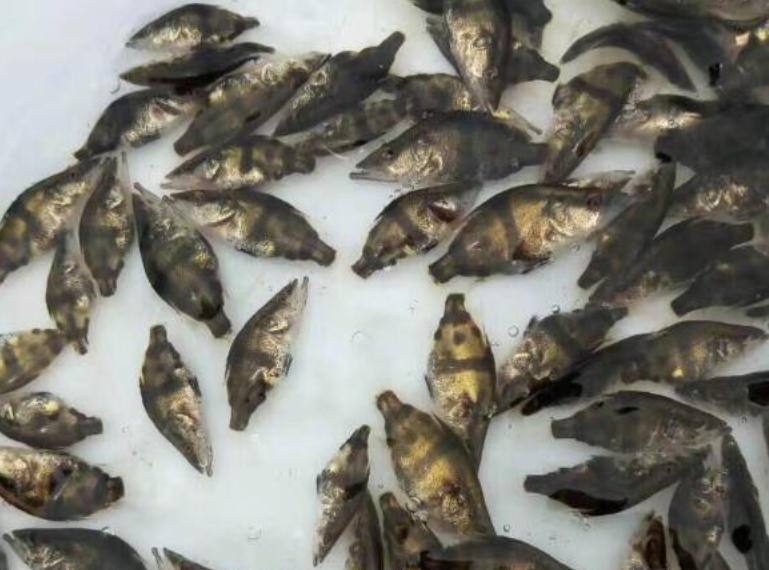 ScreenShot_2025-10-30_153830_611