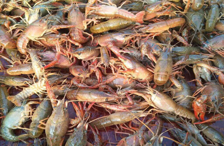 ScreenShot_2025-10-30_153953_463