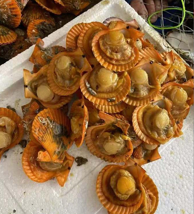 ScreenShot_2025-10-30_154151_904