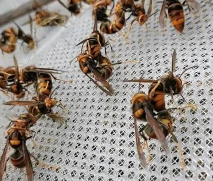 ScreenShot_2025-10-30_154549_758