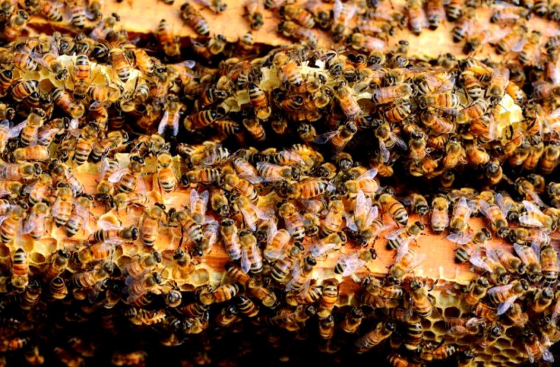 ScreenShot_2025-10-30_154754_857