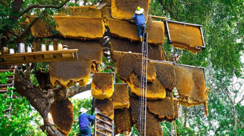 ScreenShot_2025-10-30_154844_575