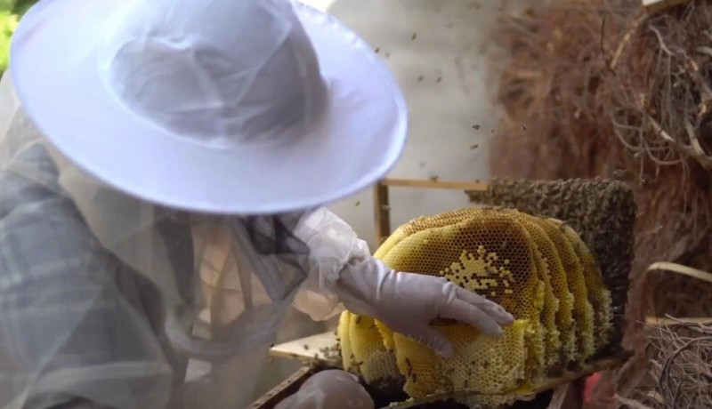 ScreenShot_2025-10-30_155240_320