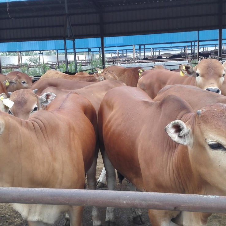 ScreenShot_2025-10-30_162803_708