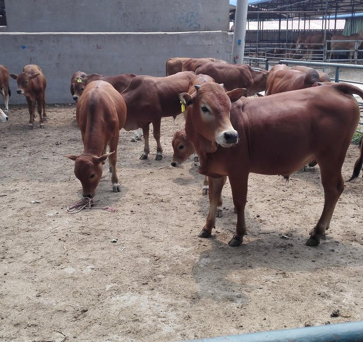 ScreenShot_2025-10-30_162916_344