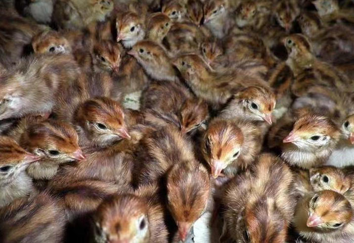 ScreenShot_2025-10-30_163017_762