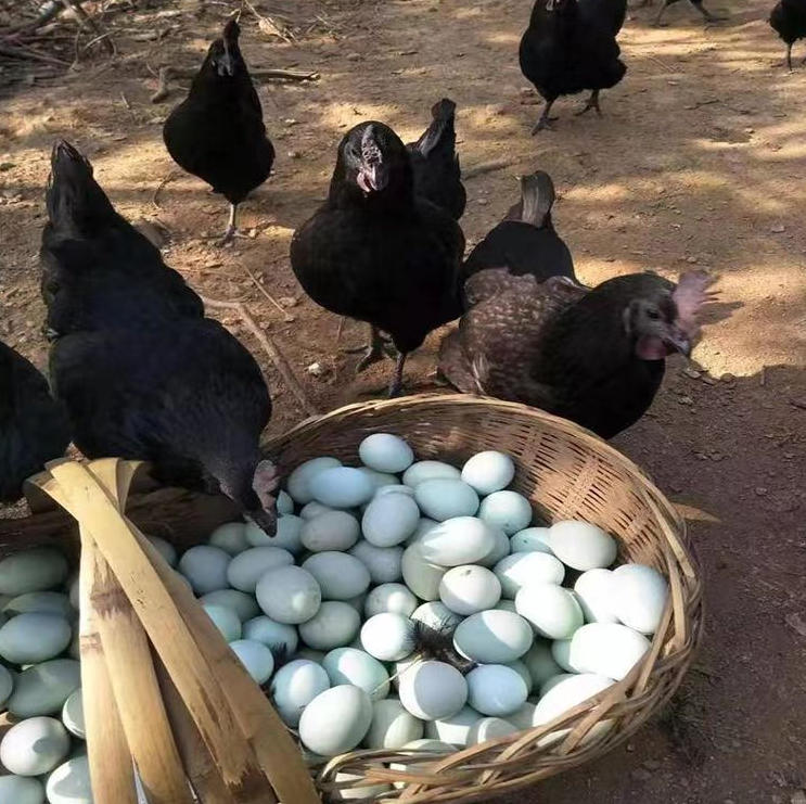 ScreenShot_2025-10-30_163502_276