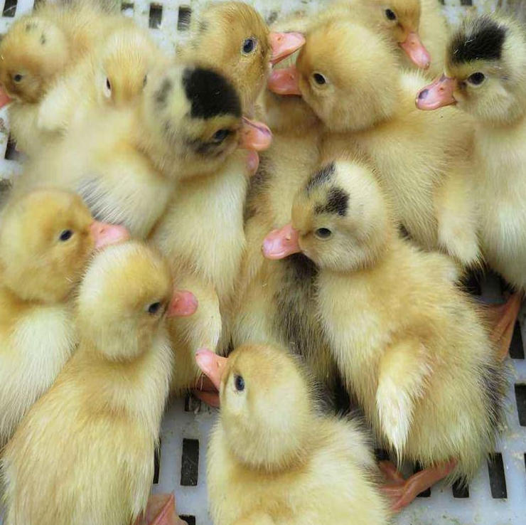 ScreenShot_2025-10-30_170050_197