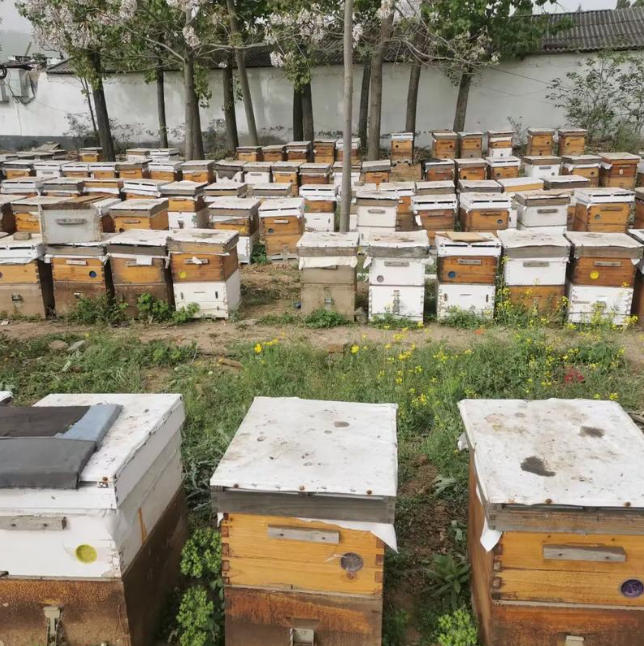 ScreenShot_2025-10-30_170436_118