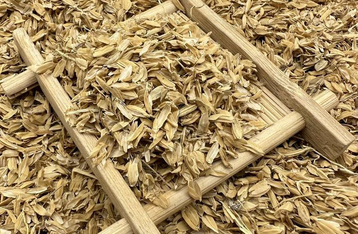 ScreenShot_2025-10-30_170632_034