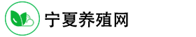 宁夏养殖网